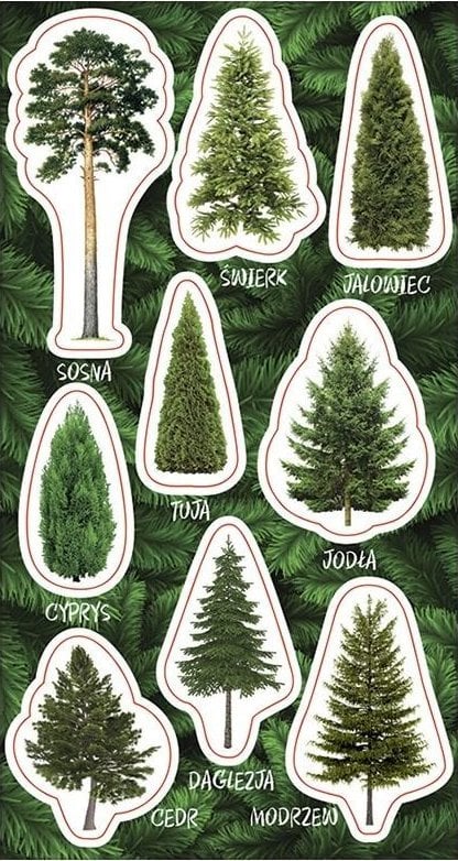 Ranok Naklejki Drzewa iglaste