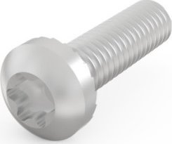 SCHROFF Śruba z łbem walcowym SCHROFF, Torx, M4 x 14, 100 szt.