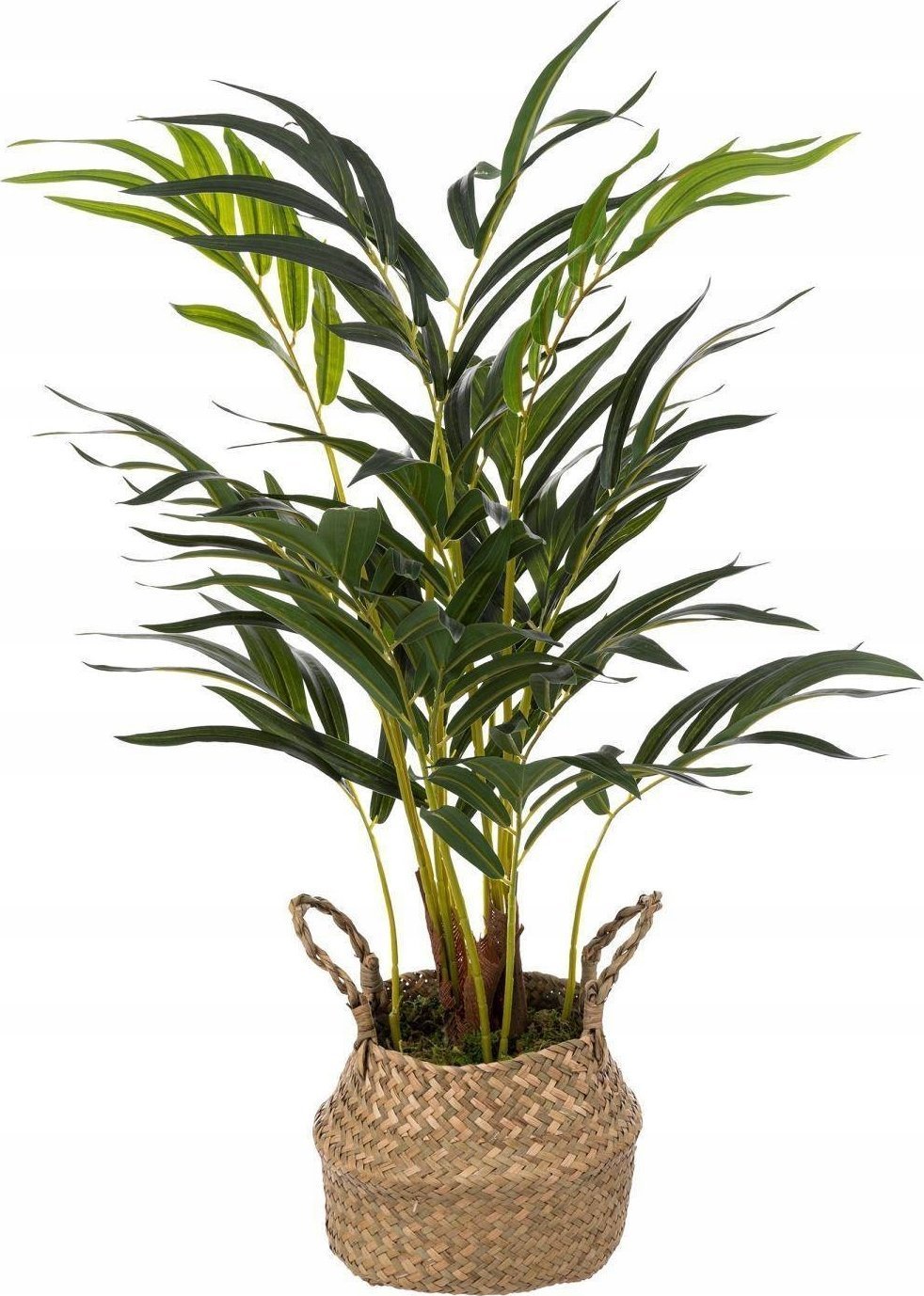 Atmosphera Sztuczna palma jak żywa w doniczce z plecionki, wys. 80 cm