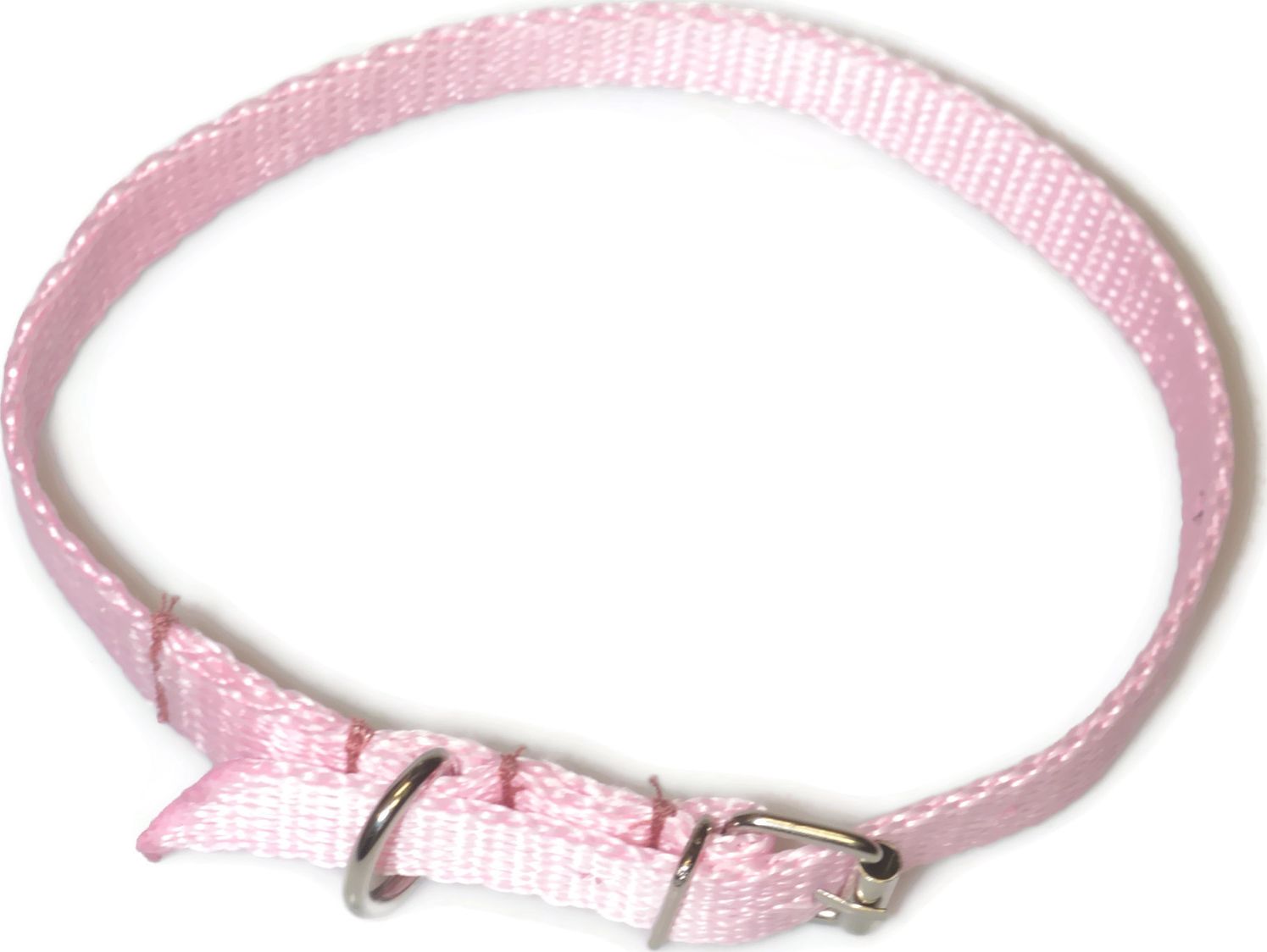 Alizoo Obroża dla średniego psa 16mm/30-41cm z metalową klamerką - ALIZOO