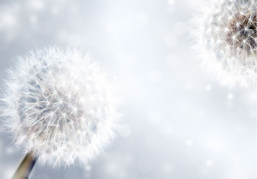 DecoNest Fototapeta - Nieprzewidywalne momenty - 300X210