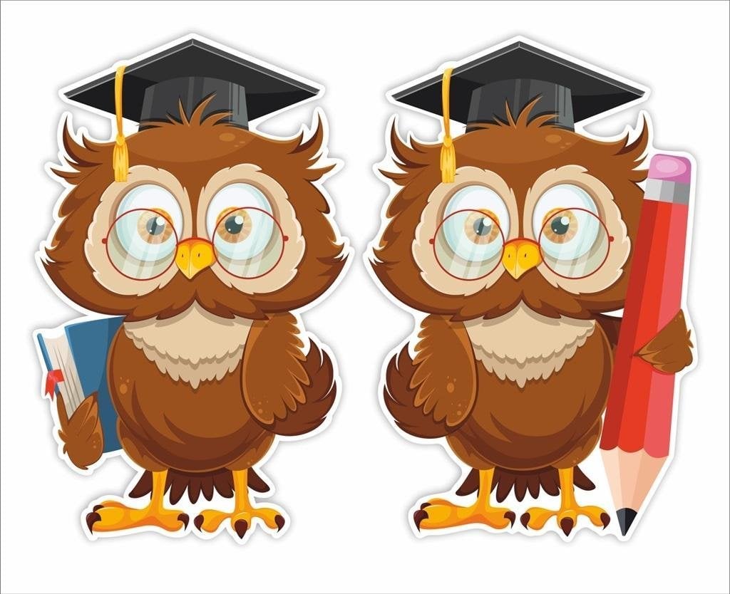 LearnHow Dekoracje okienne szkoła -Sowy w biretach 2szt