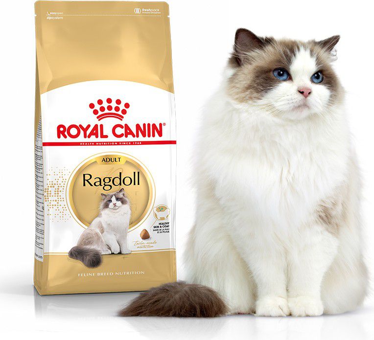 Royal Canin Ragdol Adult karma sucha dla kotów dorosłych rasy ragdoll 10kg