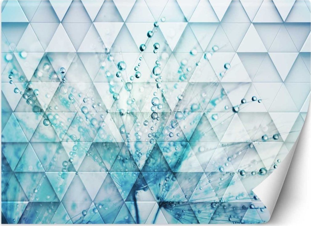 Feeby Fototapeta, Turkusowy dmuchawiec w kroplach rosy - 150x105