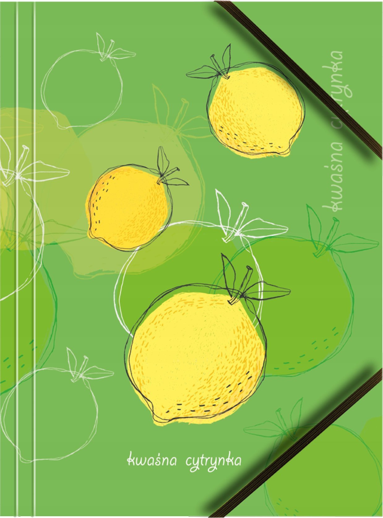 Tetis Teczka A4 kartonowa z gumką narożną Owoce p6 BT601-M1 mix cena za 1 szt