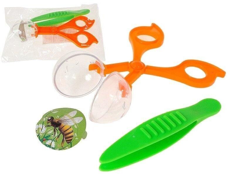 Szczypce i pęseta na owady