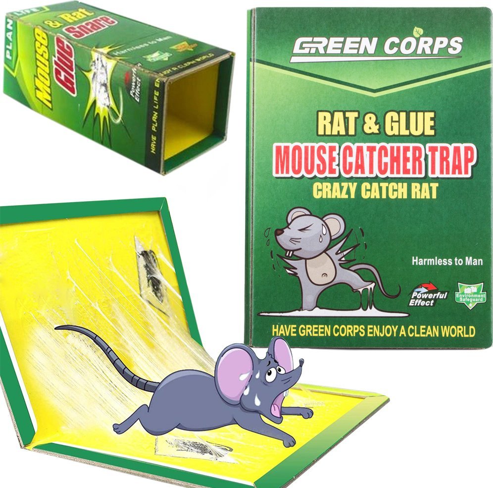 Verk Myszołapka lep łapka pułapka na myszy klejowa 31cm Myszołapka lep łapka pułapka na myszy klejowa 31cm