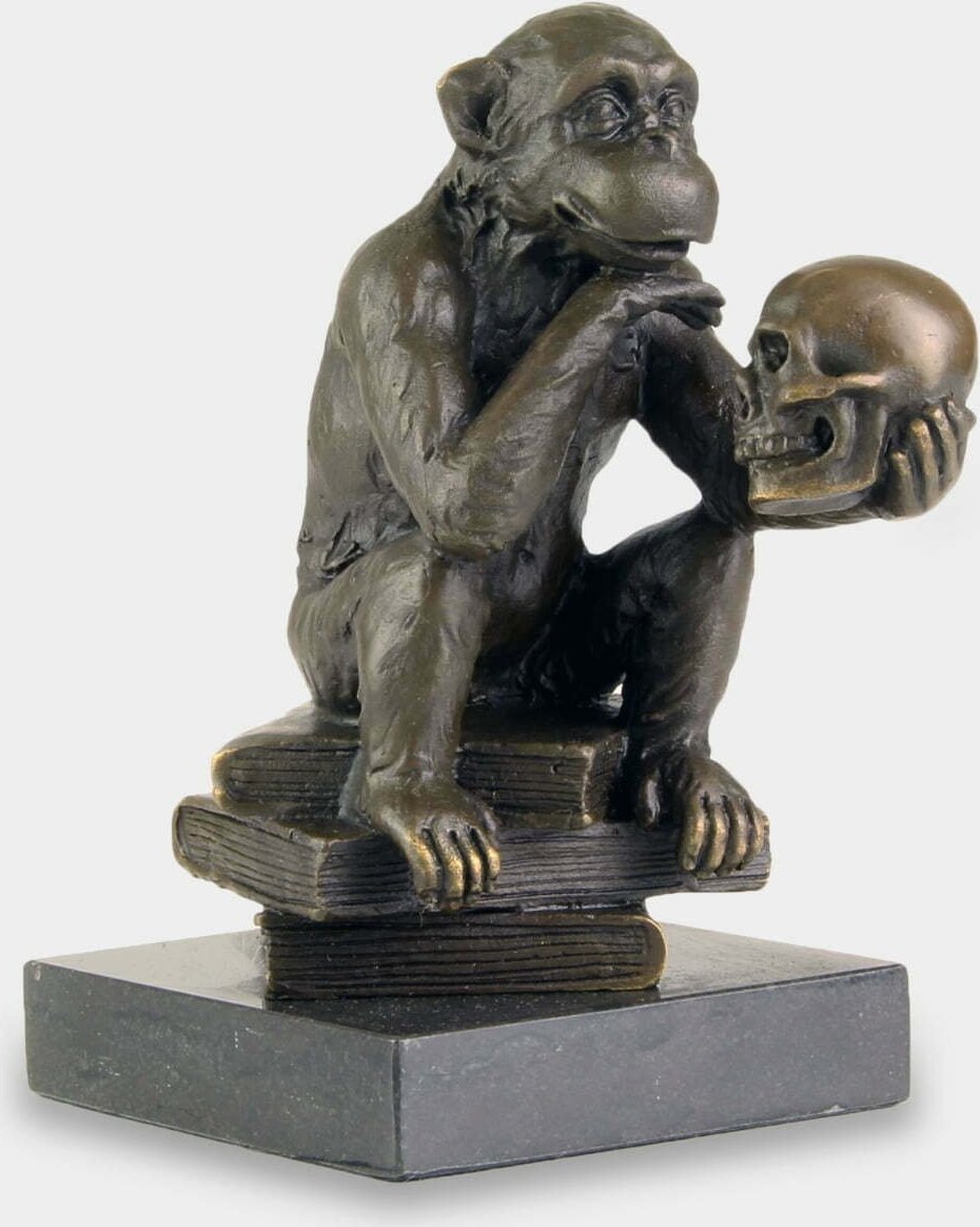 rzezbyzbrazu Filozofująca Małpa Darwina z Czaszką Rzeźba z Brązu