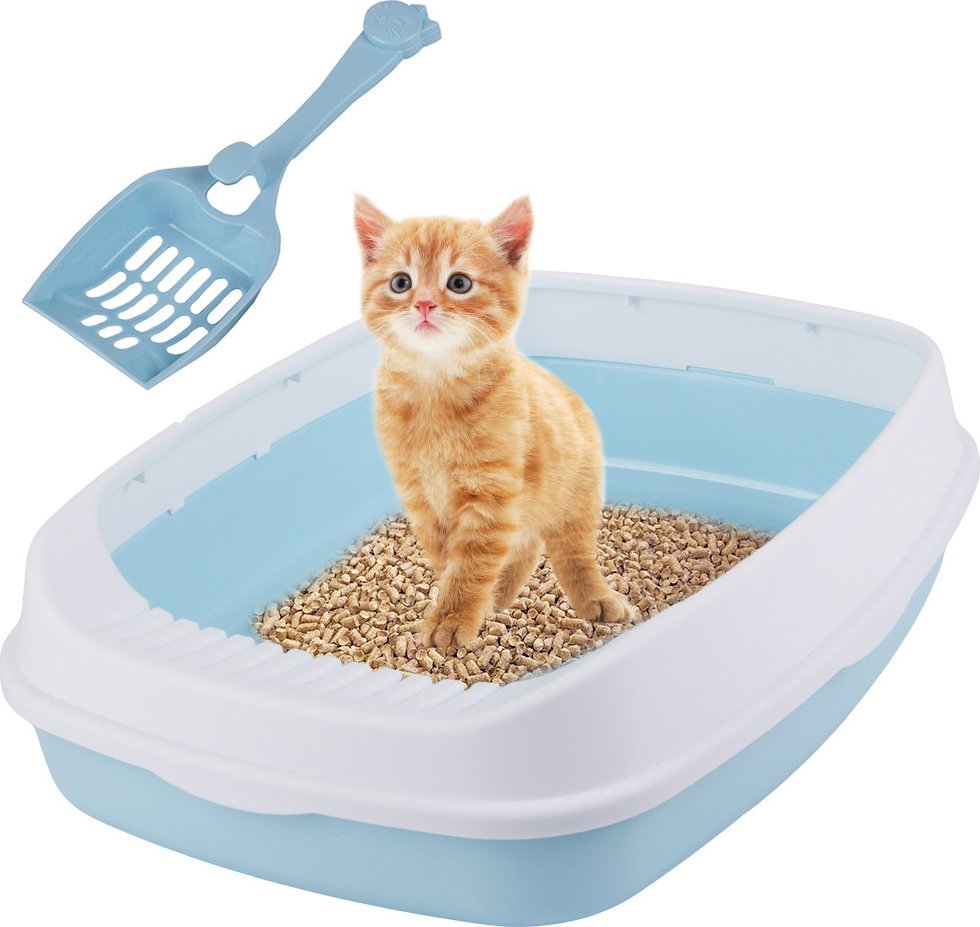 Przyjaciele Soldna kuweta dla kota otwarta z ramką toaleta na żwirek + łopatka duża Soldna kuweta dla kota otwarta z ramką toaleta na żwirek + łopatka