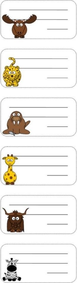 Nalepki na zeszyt NSN06