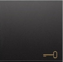 Kontakt-Simon Simon 54 Klawisz pojedynczy z piktogramem klucza do łączników/przycisków czarny mat DKWK1/49