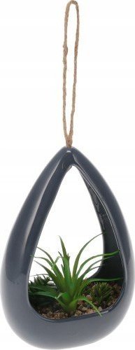 Koopman Sztuczna roślina wisząca sukulent 12 x 18 cm