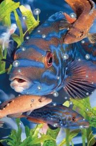 Worth-Keeping Mini kartka 3D Wargacz Tęczak (182691)