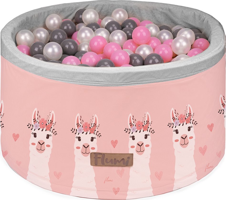 Flumi Suchy basen LAMY