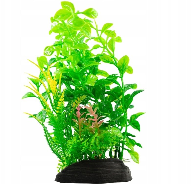 Aqua Natura, roślina, do dekoracji akwarium, zielona, plastikowa, 20 cm , paprotka i młode pędy