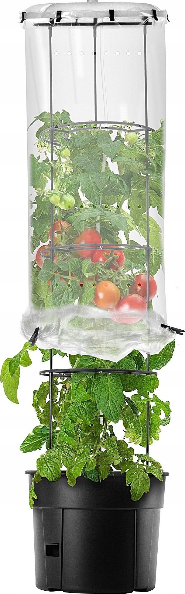 Kadax KADAX Zestaw Do Uprawy Pomidorów Doniczka Parasol