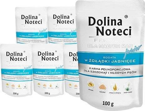 Dolina Noteci Premium Junior jagnięcina 10x100g