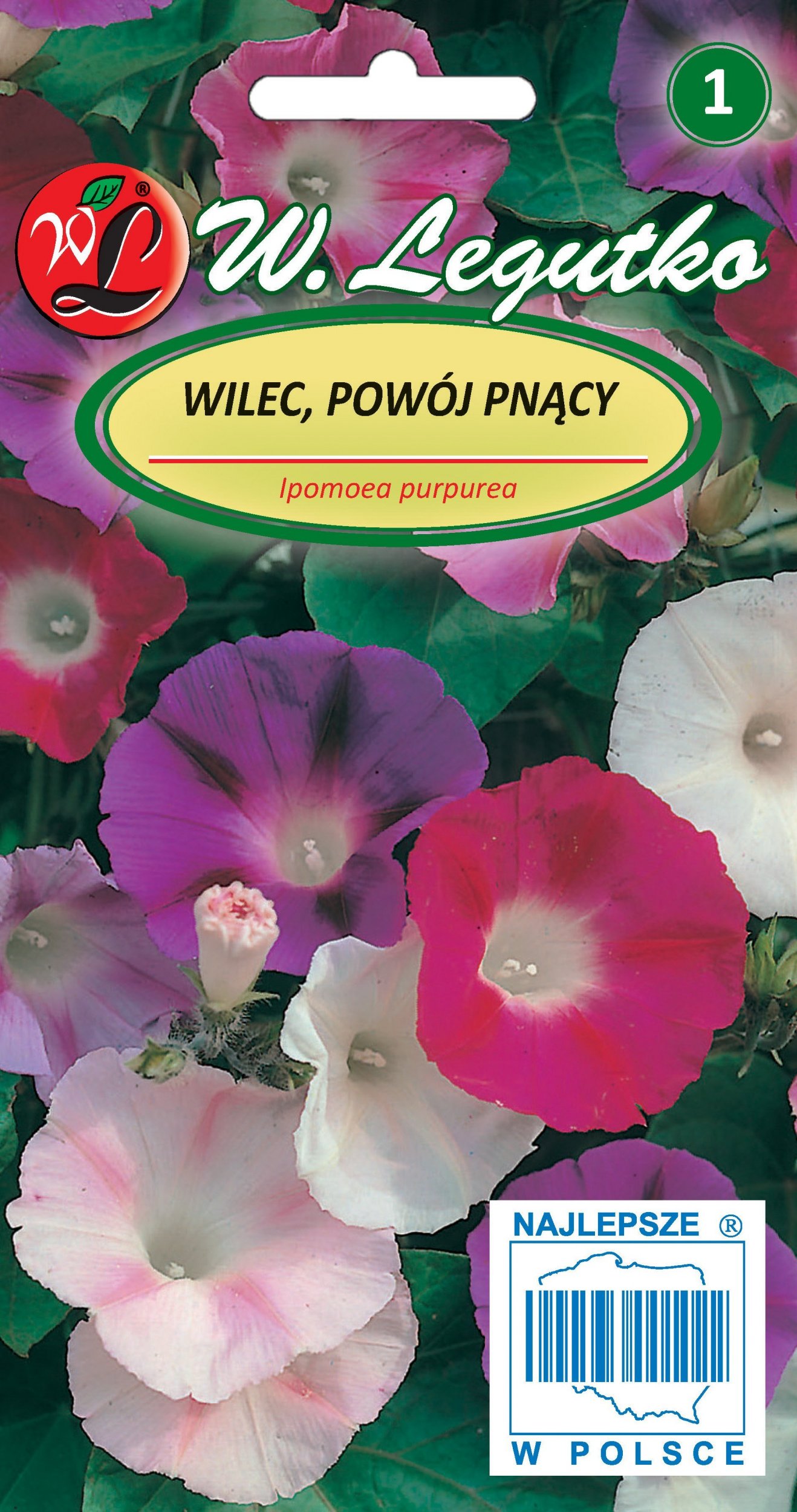 Legutko Nasiona Wilec, Powój pnący Early Call, 2g