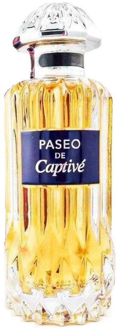 Alkotest Paseo De Captive Woda perfumowana spray 100ml