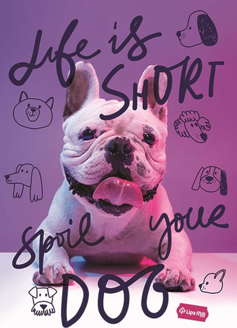 Zeszyt A4 Basic 32 k kratka Mar Mar