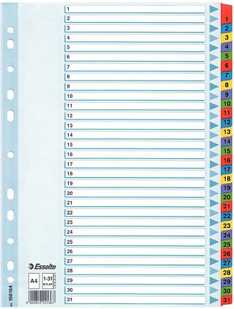 Esselte Przekładki do segregatora Esselte A4 Mylar kartonowe (10K055E)