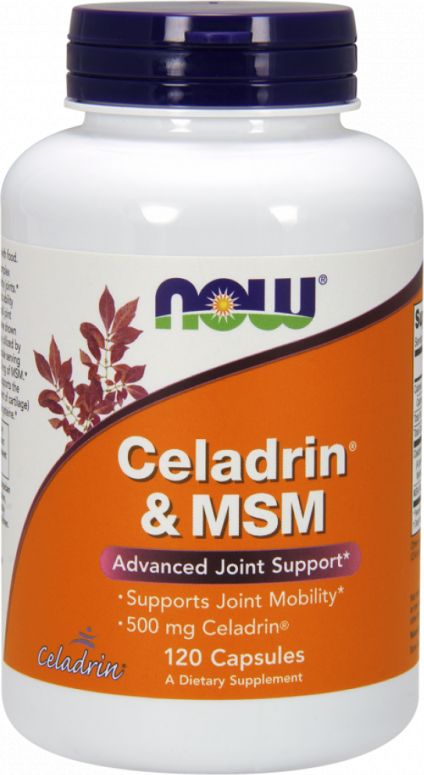 NOW Foods NOW Foods - Celadrin & MSM, 500mg, 120 kapsułek