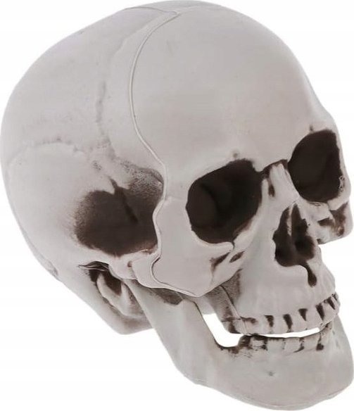 Korbi SZTUCZNA CZASZKA CZACHA SZARA CIENIOWANA HALLOWEEN DEKORACJA OZDOBA 11CM