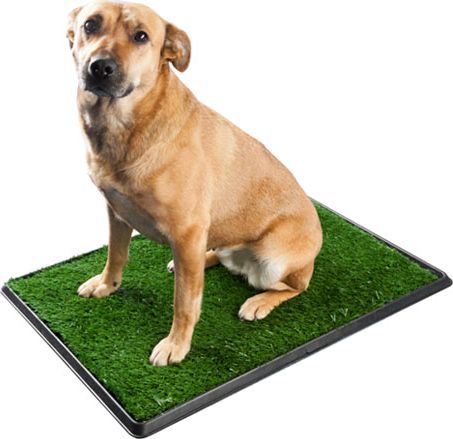 Pro Pet Duża kuweta dla psa trawka psia toaleta wc dla pieska sztuczna trawa