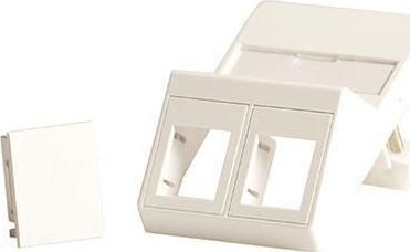 Lanview Wall plate, angled, for 2 x