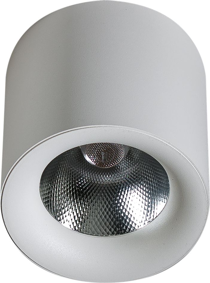 Lampa sufitowa Azzardo Do salonu lampa natynkowa ledowa nowoczesna AZzardo MANE AZ4330