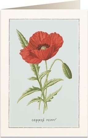 Tassotti Karnet B6 + koperta 6020 Mak