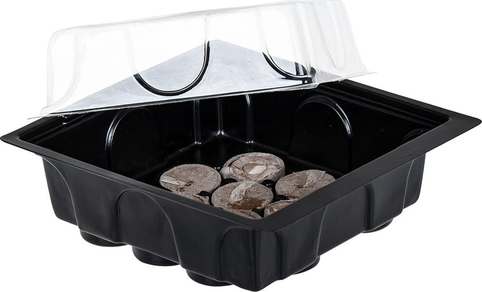 Chomik ZESTAW DO KIEŁKOWANIA (MINISZKLARNIA + 12 KRĄŻKÓW TORFOWYCH) EDA8549 CHOMIK