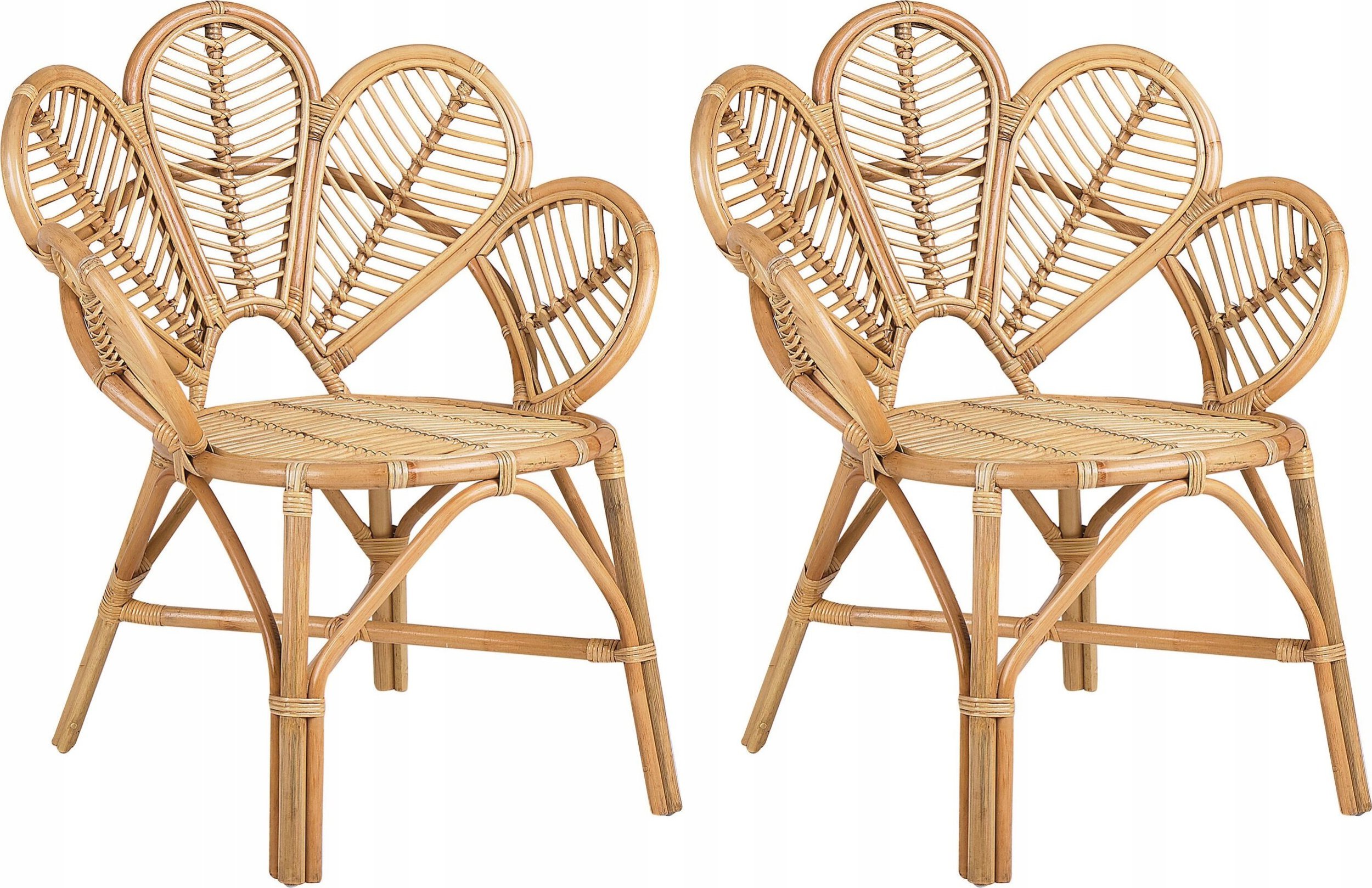 Beliani Zestaw 2 foteli paw rattanowy naturalny FLORENTINE II