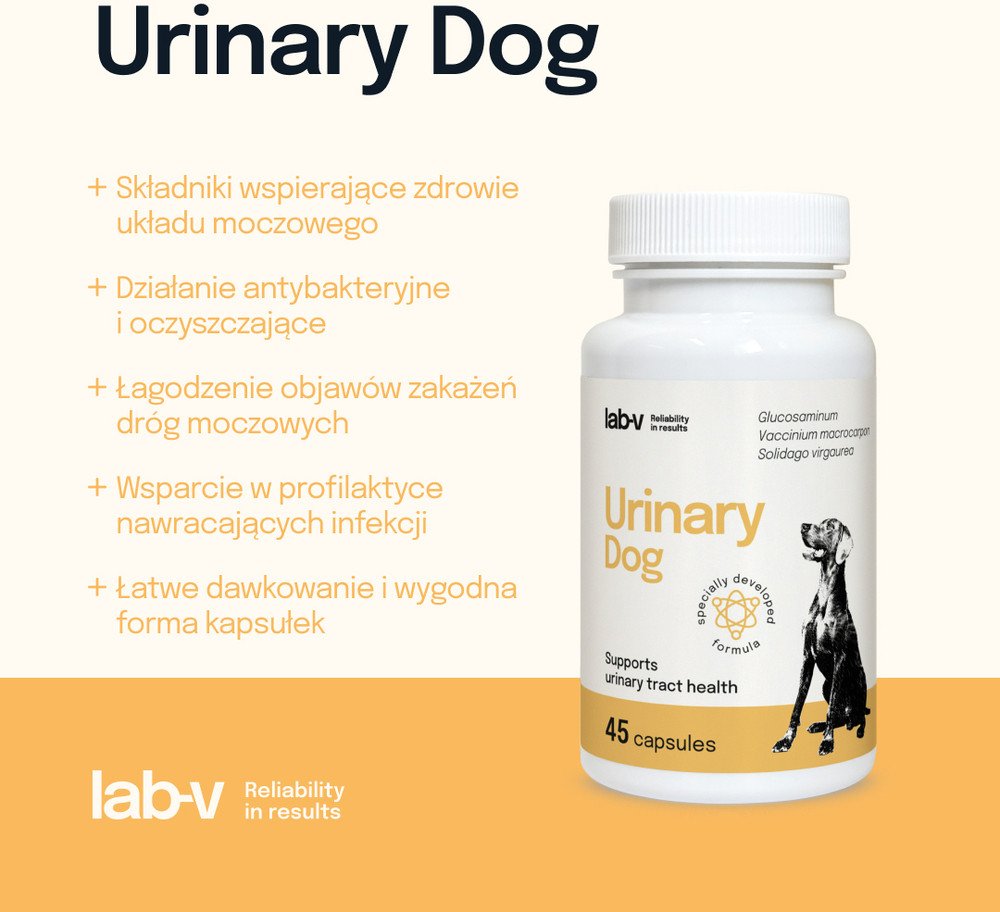 LAB-V Urinary Dog Wsparcie przy zakażeniu dróg moczowych u psów 45 kapsułek