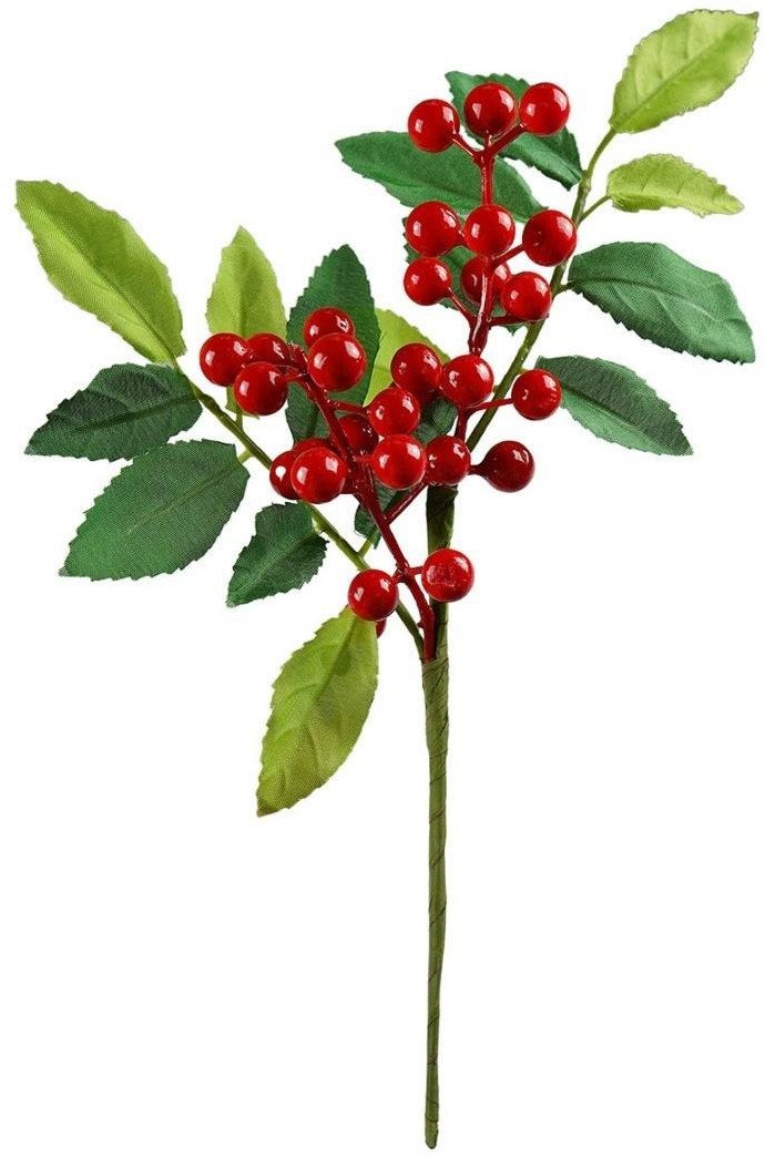 Zimowa gałązka z jagodami