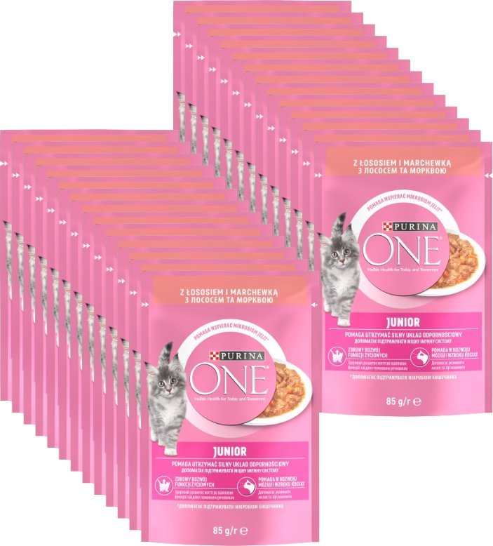 Purina One Junior Karma dla kociąt z łososiem i marchewką 26x85g