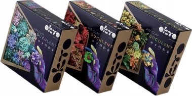 Maksik Zestaw kreatywny Wood&Craft DIY Sukulenty 21x21cm Pasja 10011