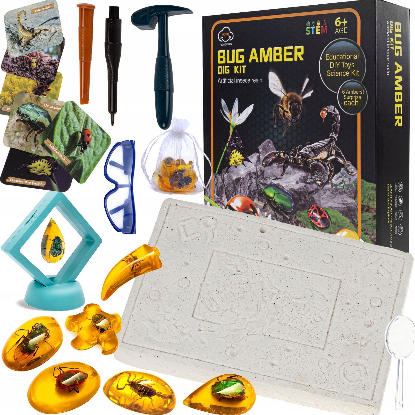 Kopalnia Bursztynów Z Owadami Mały Archeolog Wykopaliska Zabawka Edukacyjna