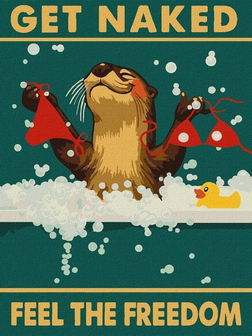 Malowanie po numerach - Plakat. Wolna wydra 30x40