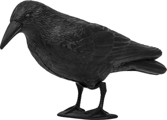 Bradas Odstraszacz ptaków Kruk 24cm 8045