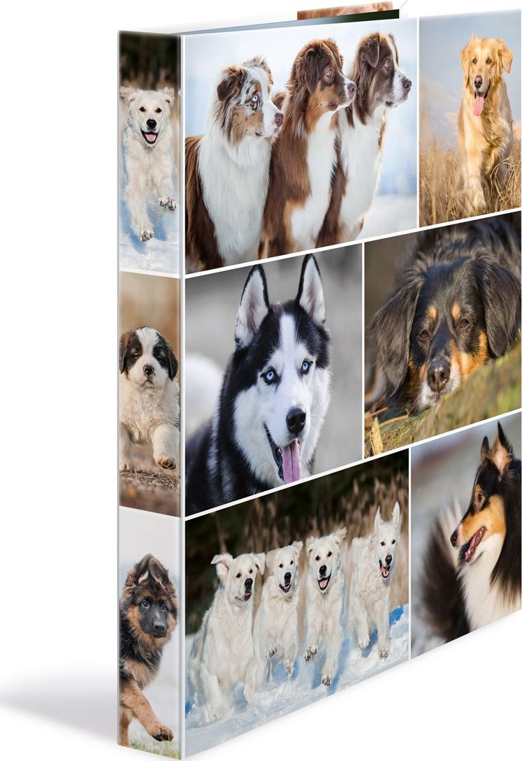 Segregator Herma 4-ringowy A4 35mm (19358)