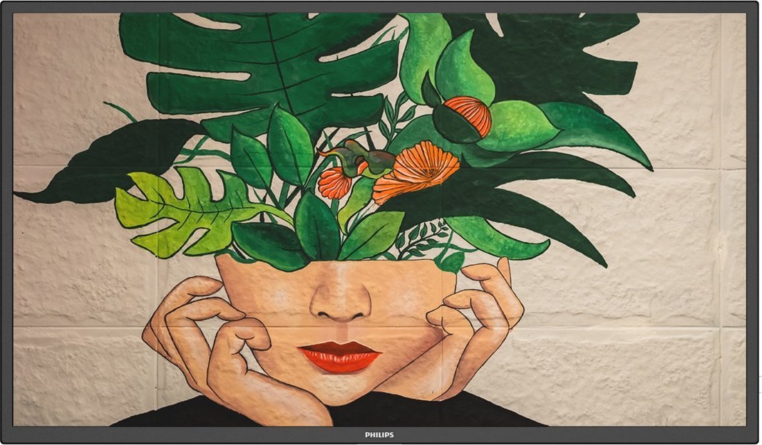 Monitor Philips D-Line 43BDL4511D/00