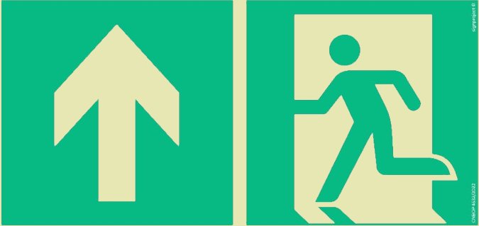 Ae090 Kierunek Do Wyjścia Drogi Ewakuacyjnej Schod Signproject Polska Sp. Z O.o Ae090_300X150_Ps 5904937002913