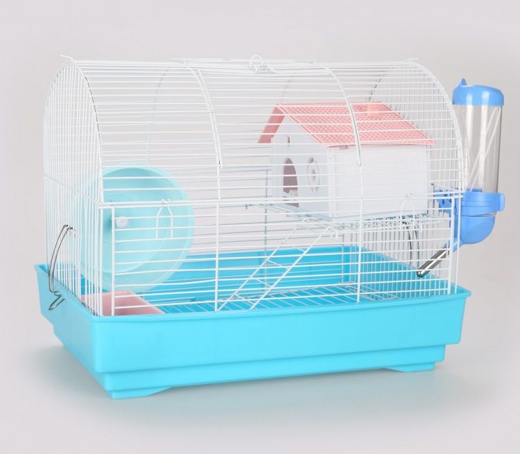 Panama Pet Klatka dla gryzoni do czasowego pobytu 33x23x26 cm biało/niebieska