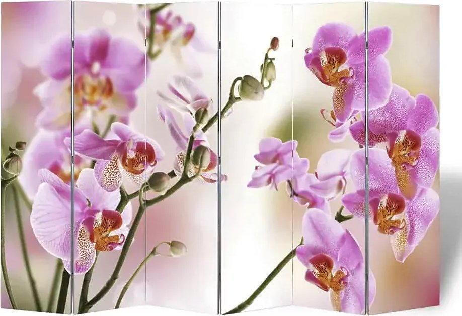 Elior Kolorowy parawan do salonu - Defri 3X 217 x 170 cm