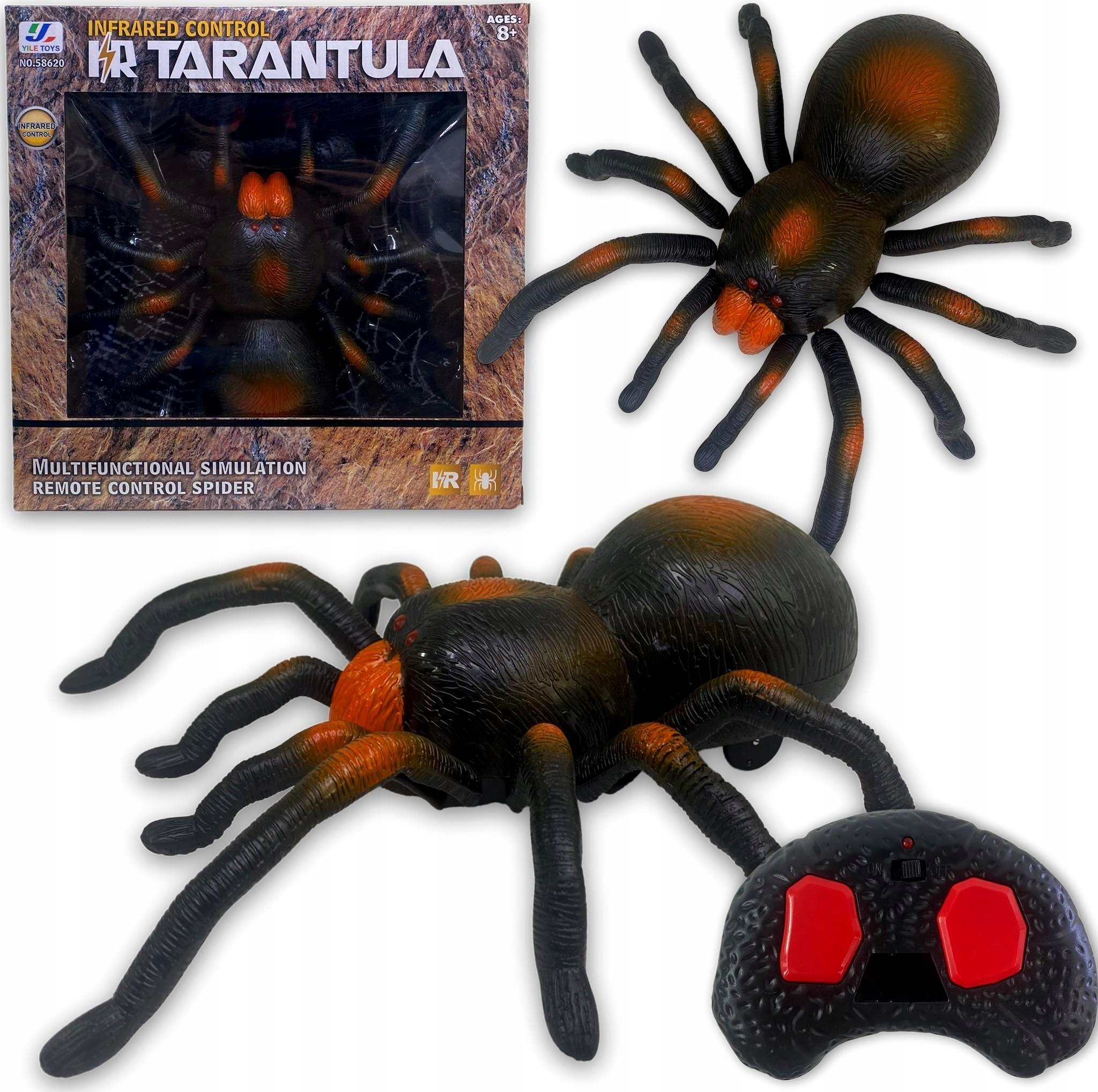 Adar Pająk Tarntula na radio 525115