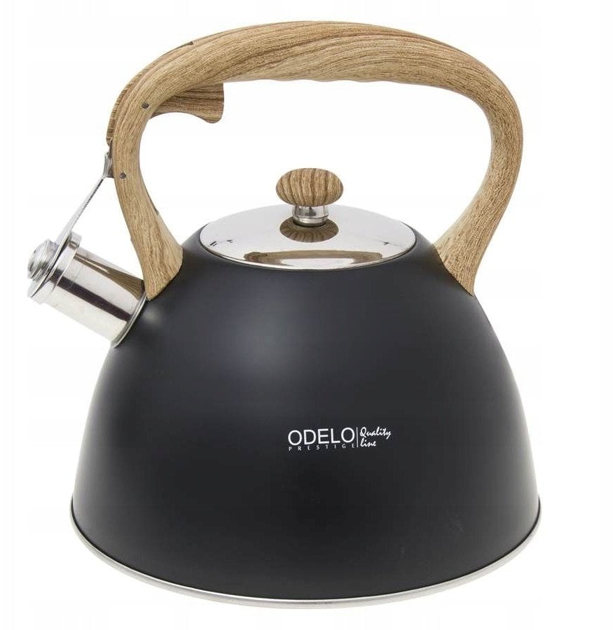 CZAJNIK NIEELEKTRYCZNY OD 1647 BK FULVI 3 L