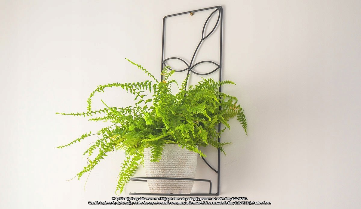 Prosperplast Kwietnik ścienny Gałązka ELGarden Wiszący