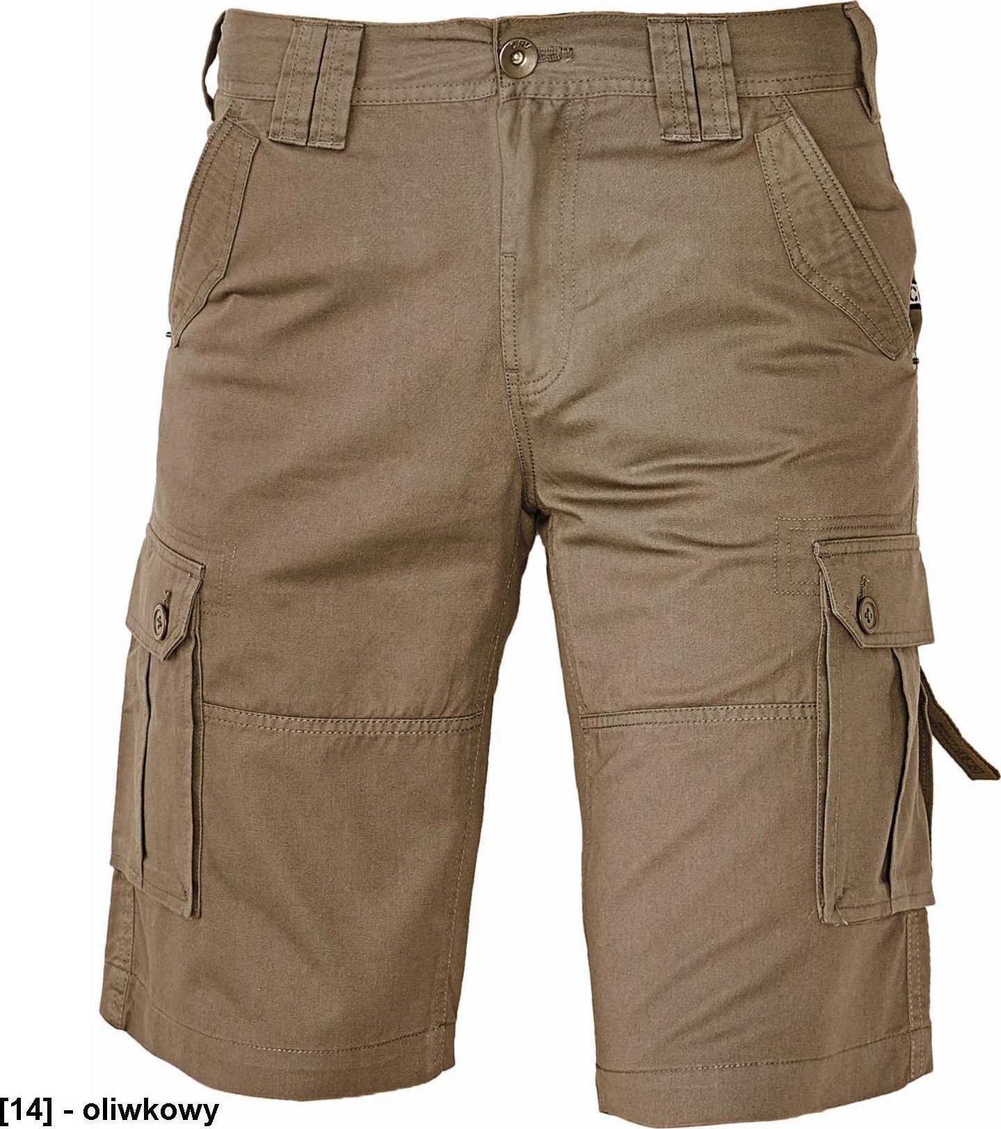 CERVA CHENA CRV szorty - 100% bawełny - oliwkowy S