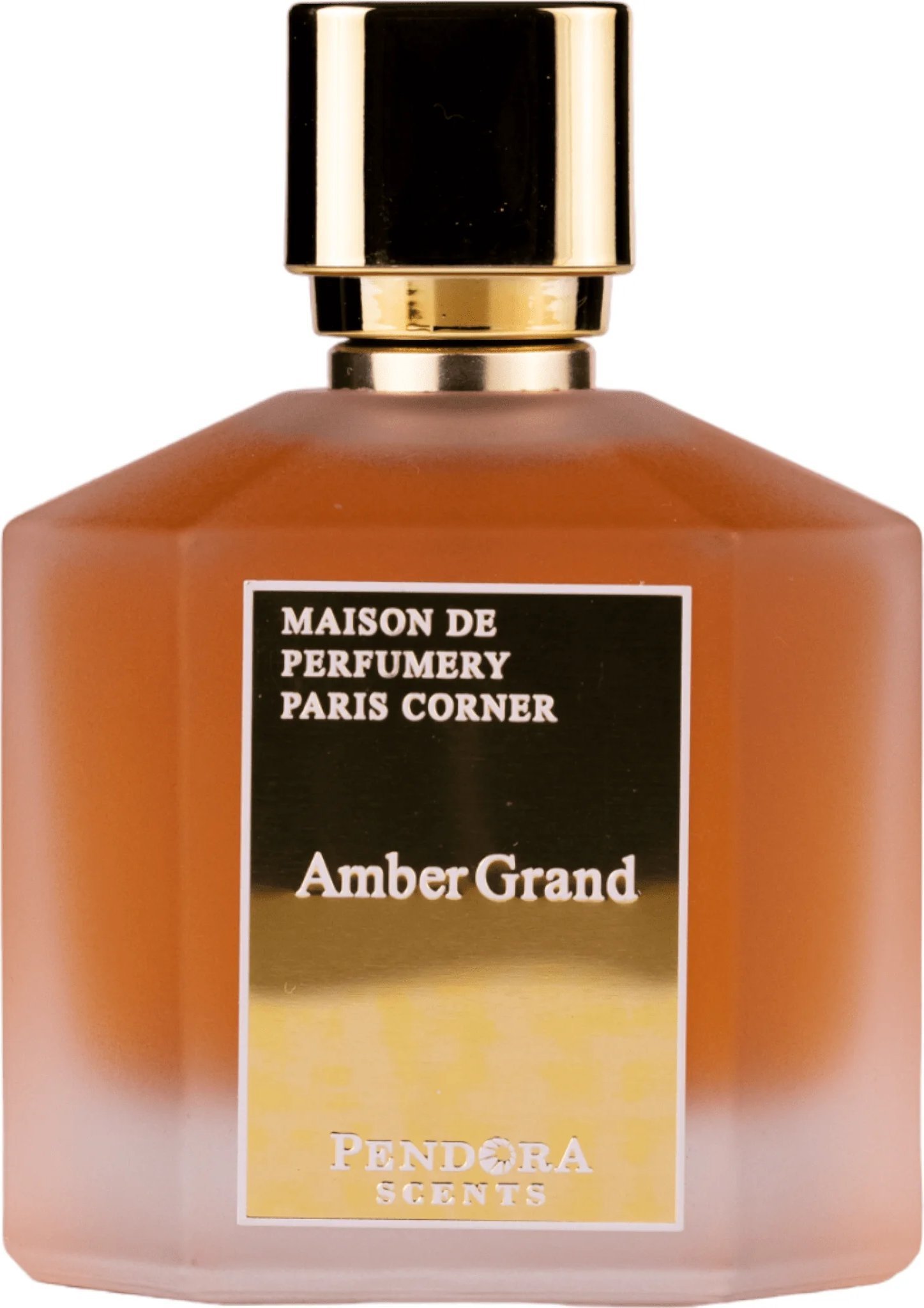 PENDORA SCENTS Amber Grand EDP spray 100ml